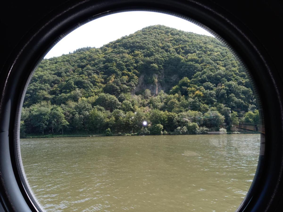 Hausboot Moselrose In Poelich Hotel Polich Exterior foto